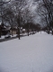 Boulevard divison on Newberry Blvd