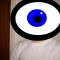 Eyeball.JPG