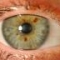 eye.jpg