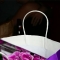 the bag