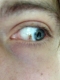 fisheye.JPG fisheye.JPG