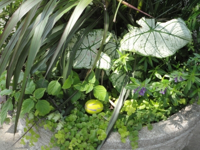 City planter