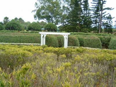 Right Side
