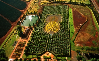 From Above