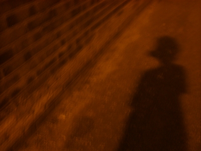 Shadows Shadows