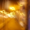 The Lights