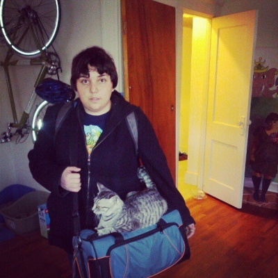 Tiny Cat Chauffeur