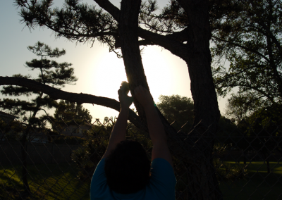 Stretch