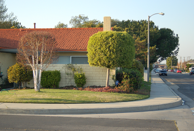Trees abut the Cat House