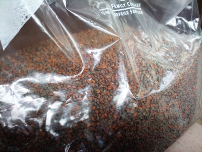 Seeds, closer Seeds, closer