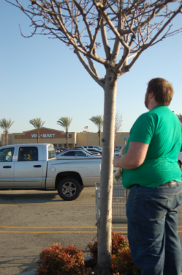 A PLAGUE UPON WALMARTHEE
