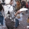 Free Pie (in the face)