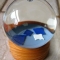 Snowglobe!