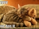 You know you're disgusting when lolcats can sum you up nicely.