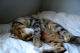 lunch on bed.jpg
