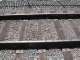 Both tracks became completely covered.