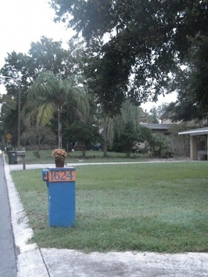 DSCN7255.JPG