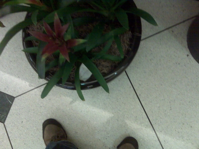 last message - planter in the skyway