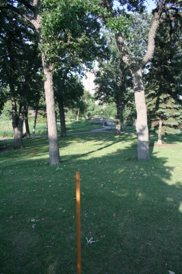 the opposite pole and one of the goals