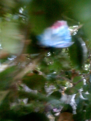 bad shot of 7 bad shot of 7