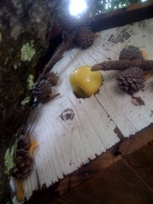 tomato looking thing in a bird house