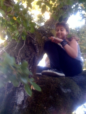in tree! 