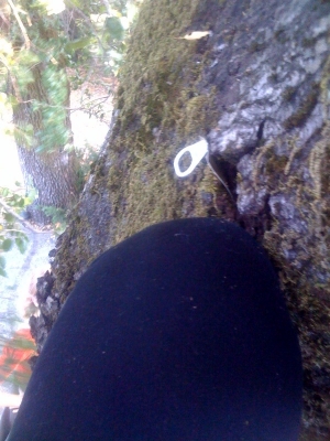 close up for object 1