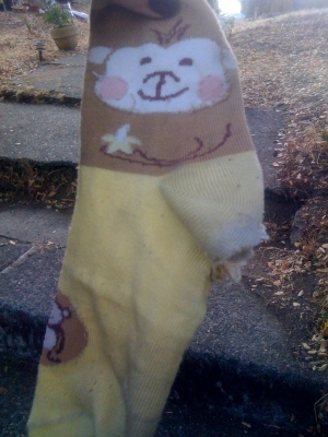 mr monkey sock (object 5) mr monkey sock (object 5)