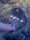 object #1!! ^^