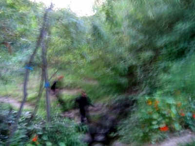 two runners cutting through a forest-like area