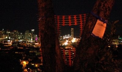 please excuse the awful nightime camera blurriness.