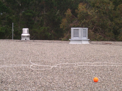 The Orange Ball