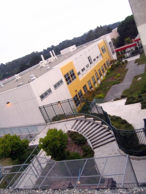 Vertigo-inducing view