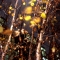 Unstill Life by ananas Unstill Life by ananas