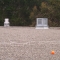 The Orange Ball