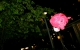 IMG_0060.JPG IMG_0060.JPG