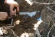 unearthing