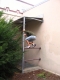 Allison climbing