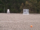 The Orange Ball