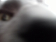 main_audiotourregula35831.jpg