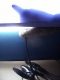 Podcast I has it.jpg