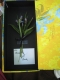 bouquet in the box