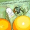 Egg among Eggs (Stylised) Egg among Eggs (Stylised)