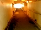 Under the Station
