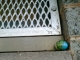 Precariously Balanced Egg