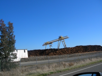 DSCN0429.JPG