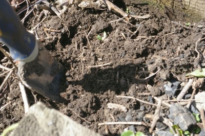 Preparing the soil