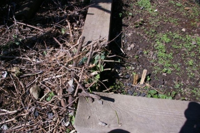 The completed toad home