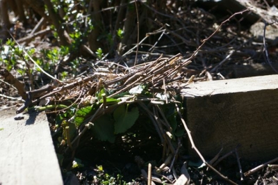 From outside, you can't see what might be lurking within!