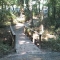 Path to Bandshell
